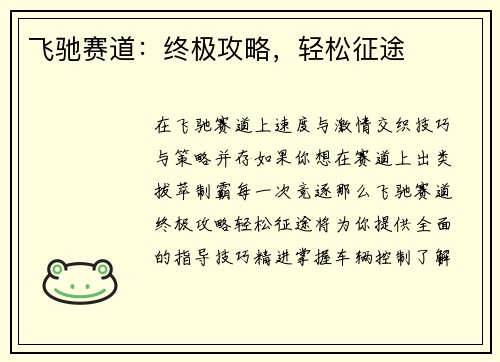飞驰赛道：终极攻略，轻松征途